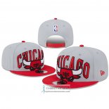 Gorra Chicago Bulls 2023 Tip Off Two Tone 9FIFTY Snapback Gris